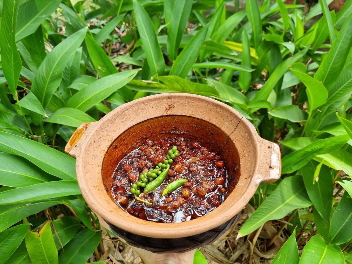 Ba Danh Homestay & Kitchen - Ben Tre Mekong エクステリア 写真