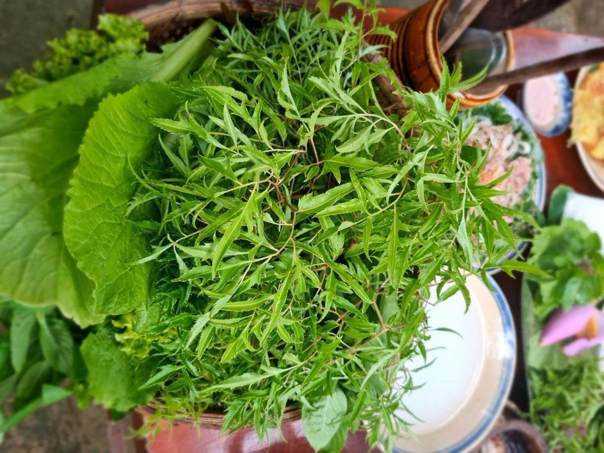 Ba Danh Homestay & Kitchen - Ben Tre Mekong エクステリア 写真