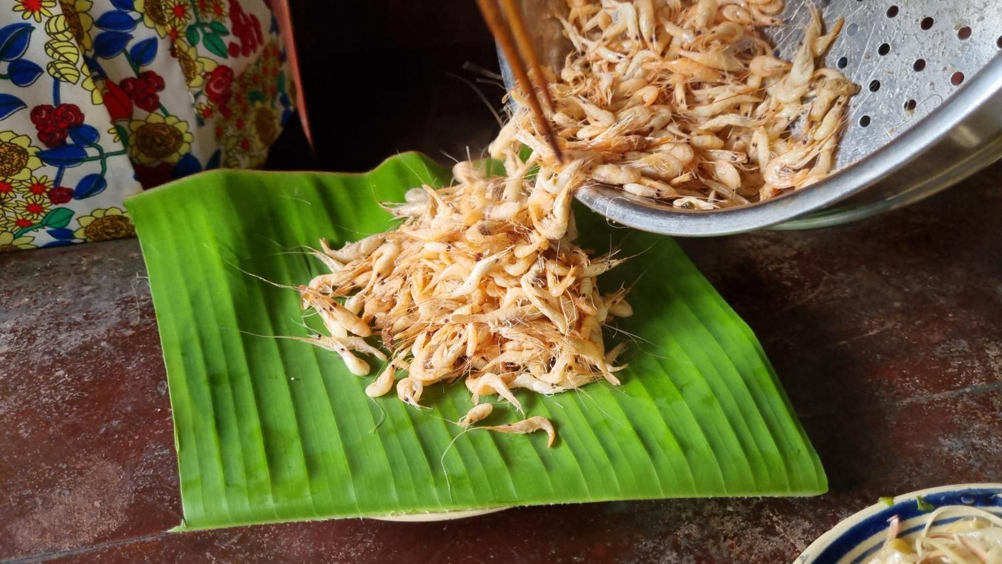 Ba Danh Homestay & Kitchen - Ben Tre Mekong エクステリア 写真