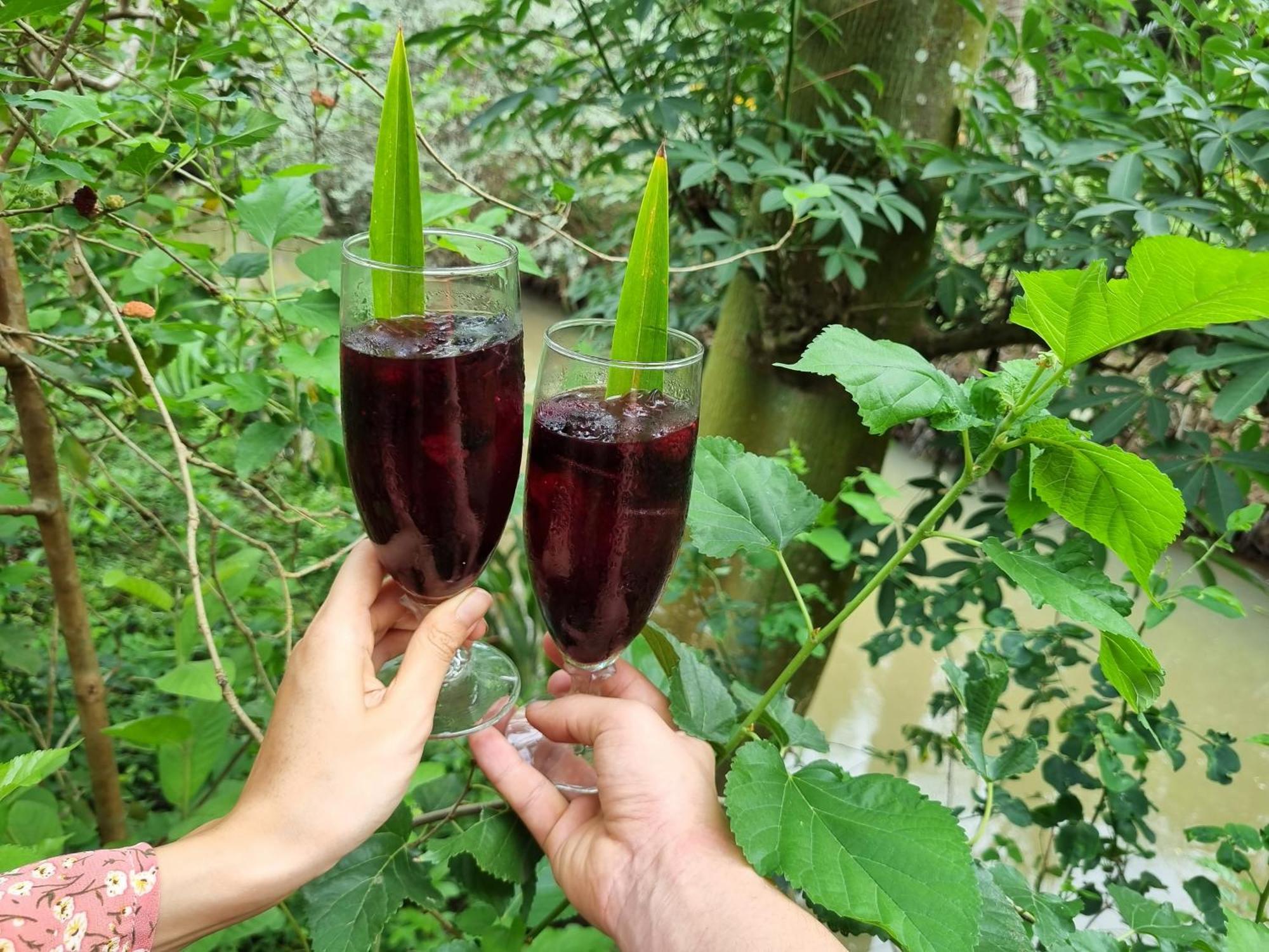 Ba Danh Homestay & Kitchen - Ben Tre Mekong エクステリア 写真
