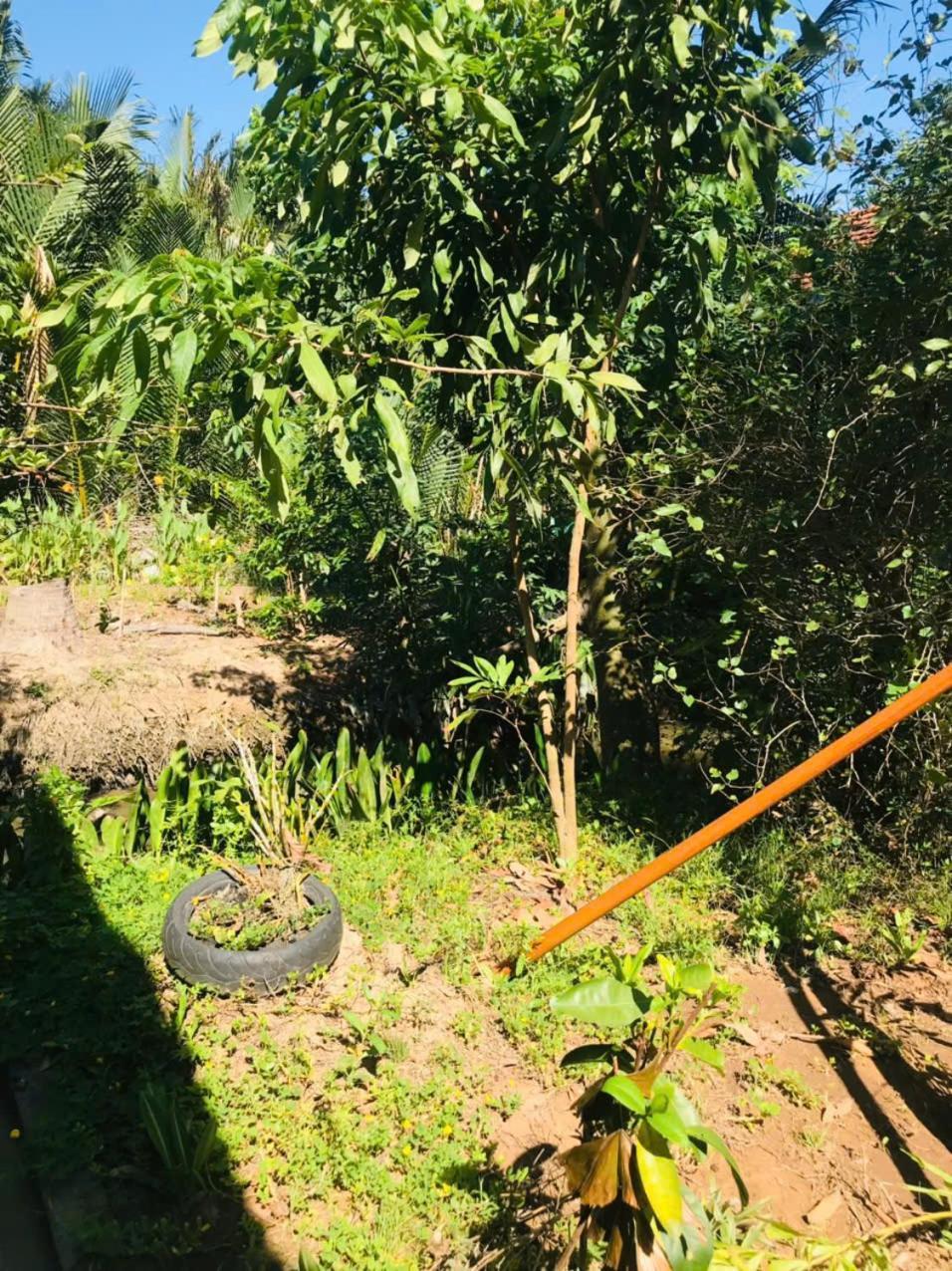 Ba Danh Homestay & Kitchen - Ben Tre Mekong エクステリア 写真